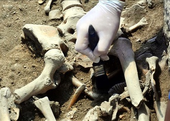 Камбоджийские археологи обнаружили шесть древних могил в городе Прей Венге
