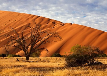 Пустыня Намибии привлекает все больше богатых путешественников