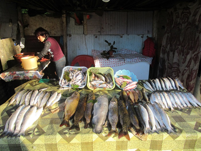 Уреки рыбный рынок