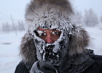 В Россию – за холодом