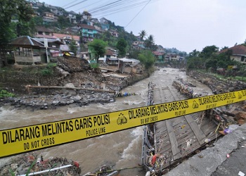 Во время наводнения в Индонезии сбежали 14 питонов