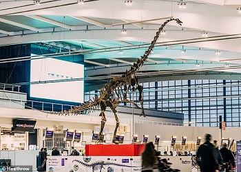 В аэропорту Хитроу установили скелет динозавра в натуральную величину