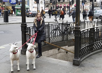 Британцы путешествуют с козами и отказываются от мяса