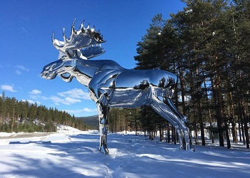 Норвегия и Канада сошлись в битве за самую высокую статую лося в мире