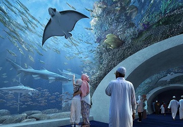 Оманский аквариум предлагает поужинать среди рыб