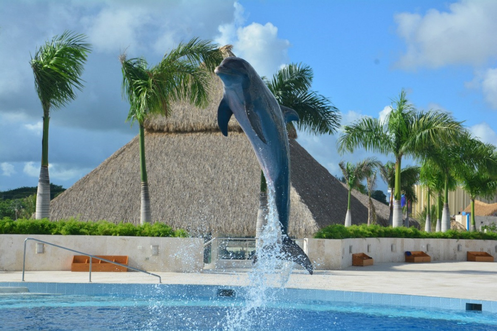 прыжок дельфина