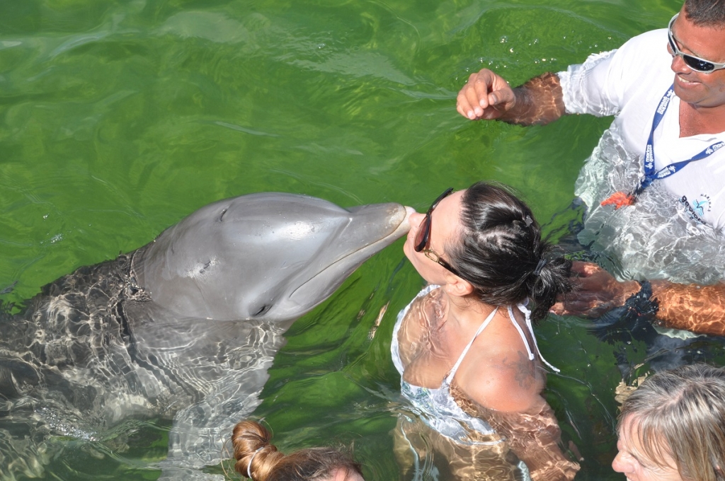дельфинарий Куба