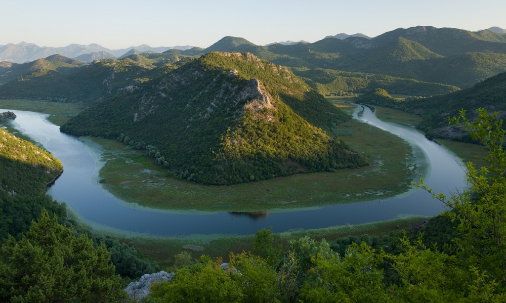 Скадарское Озеро национальный парк. Черногория.jpg